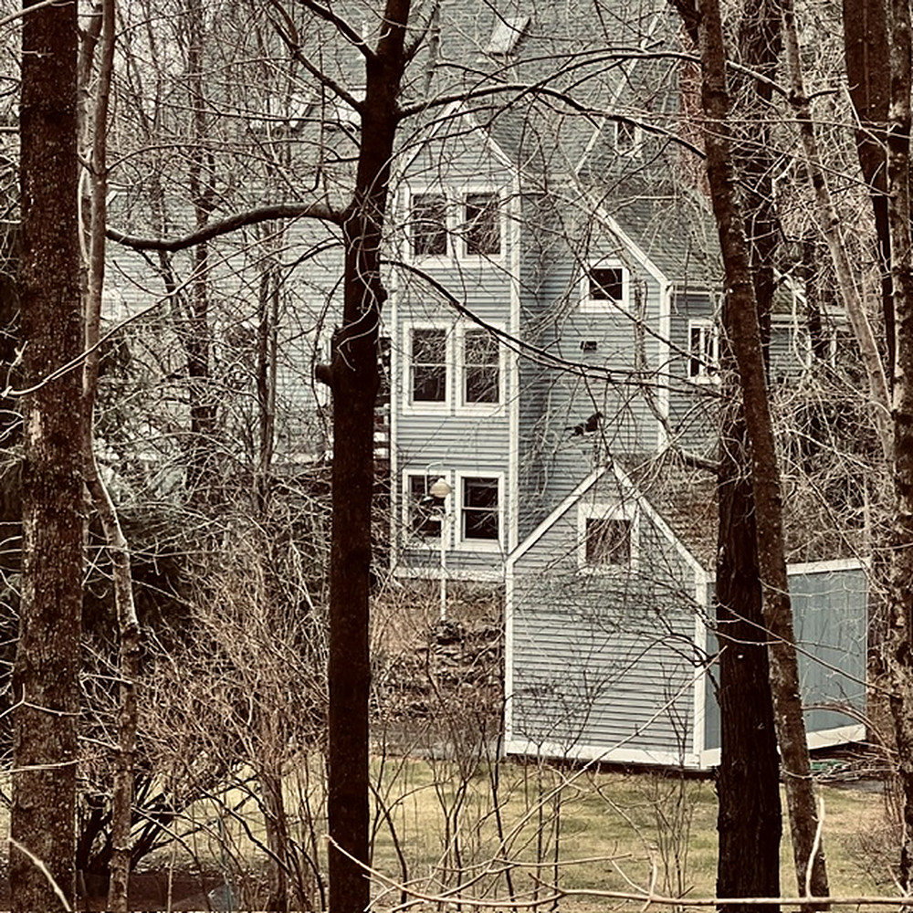 Custom home in the woods